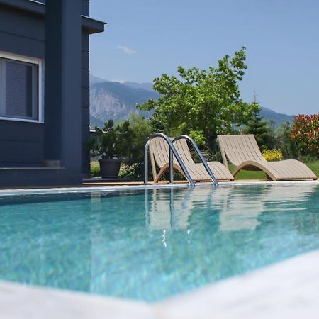 Zeusplace Pool Villa Olympus Riviera Litochoro Exteriér fotografie